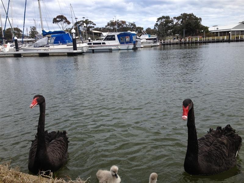 104 Sanctuary Road, Loch Sport VIC 3851