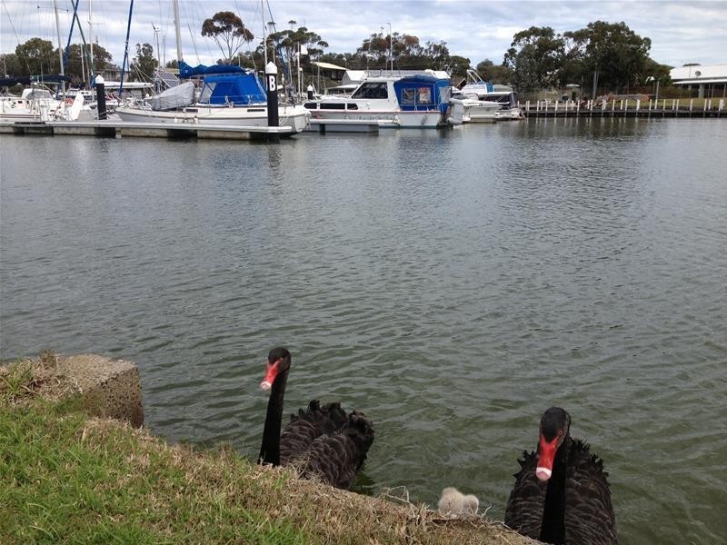 104 Sanctuary Road, Loch Sport VIC 3851