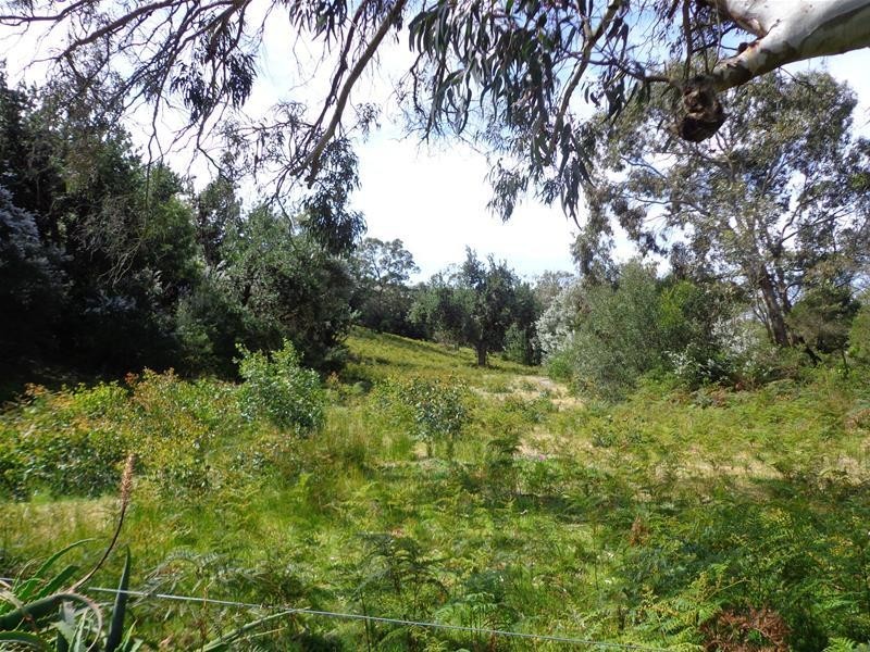 26 Christopher Court, Loch Sport VIC 3851