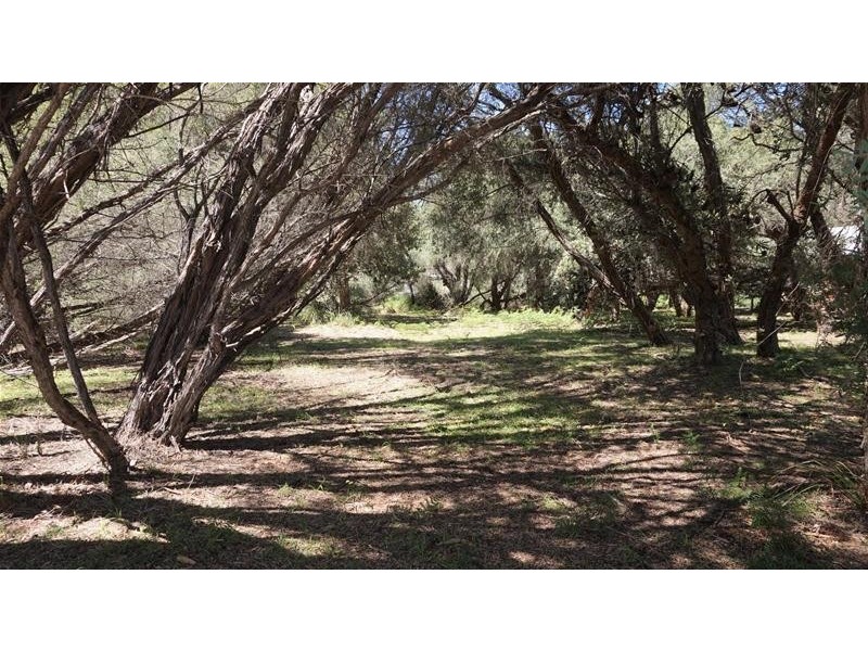 38 Kookaburra Street, Loch Sport VIC 3851