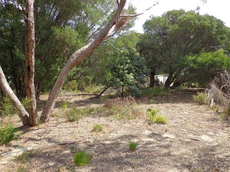 135 National Park Road, Loch Sport VIC 3851