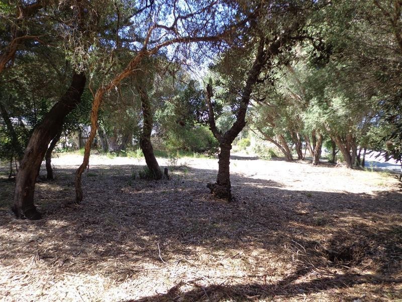 135 National Park Road, Loch Sport VIC 3851