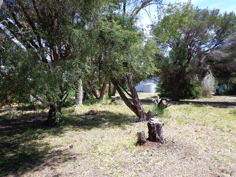 8 Leon Street, Loch Sport VIC 3851