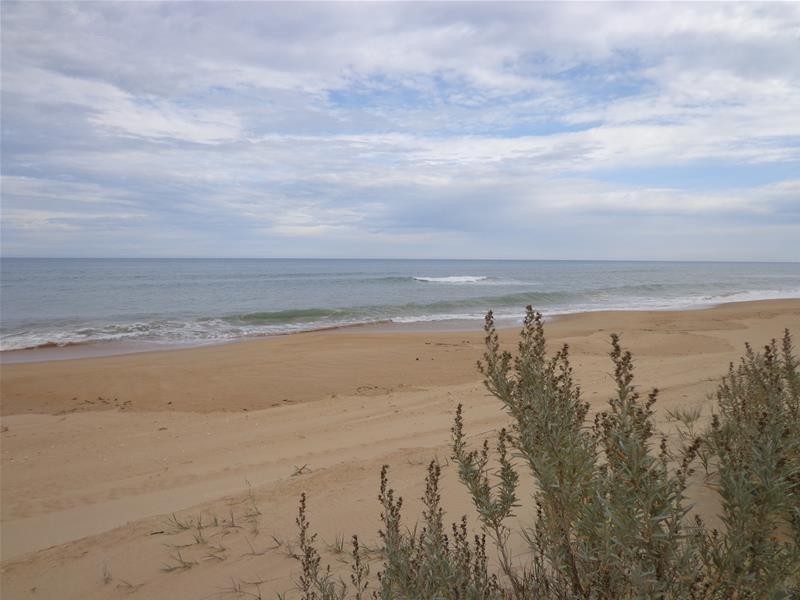 37 Paradise Beach Road, Paradise Beach VIC 3851