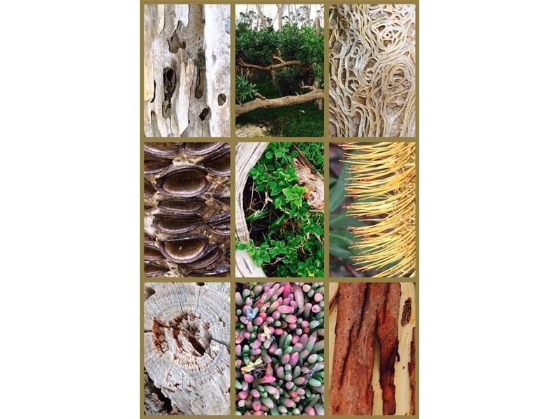 57 White Crescent, Loch Sport VIC 3851