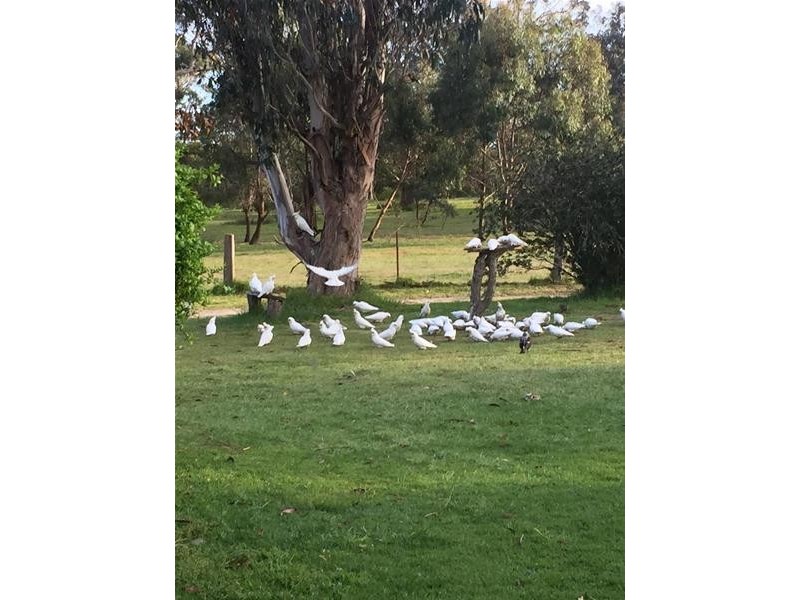 120 Cochranes Road, Seaspray VIC 3851