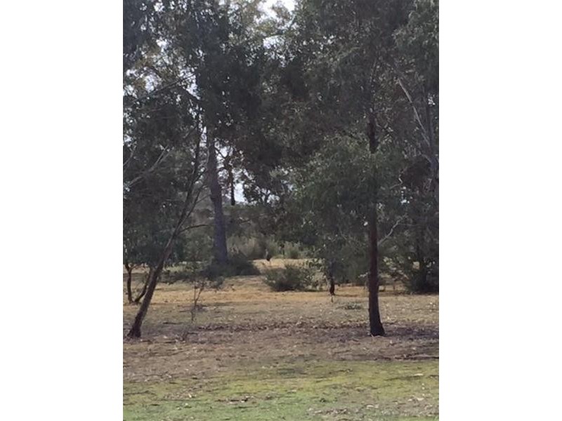 120 Cochranes Road, Seaspray VIC 3851