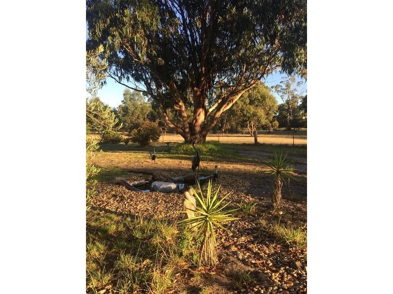 120 Cochranes Road, Seaspray VIC 3851