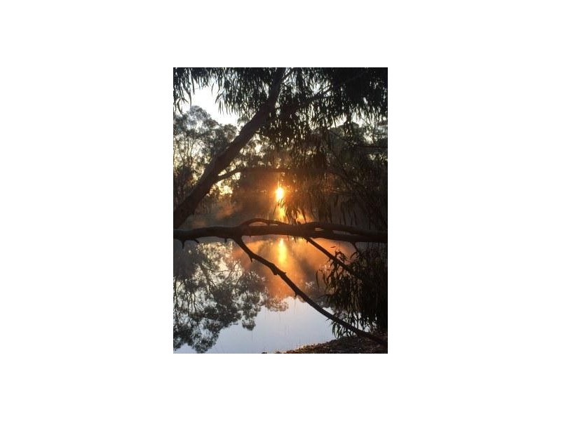 120 Cochranes Road, Seaspray VIC 3851