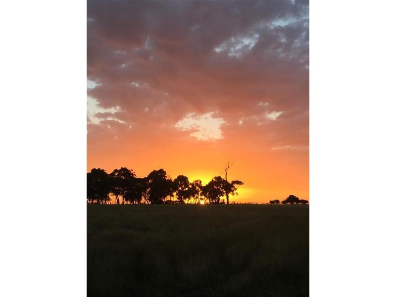 120 Cochranes Road, Seaspray VIC 3851