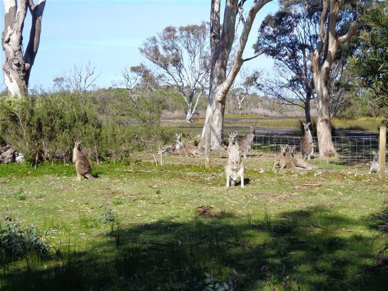 24 Davies Street, Loch Sport VIC 3851