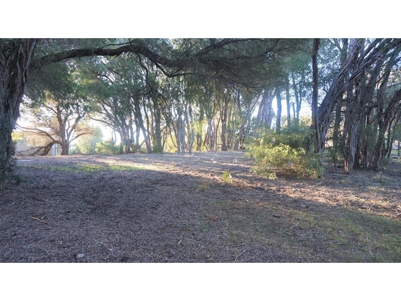 17 Bellbird Street, Loch Sport VIC 3851