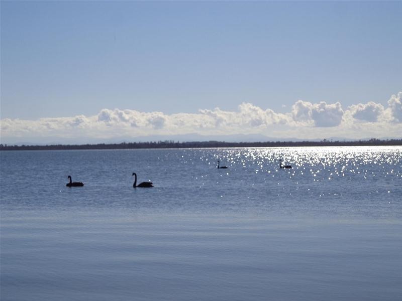 48 Pelican Street, Loch Sport VIC 3851