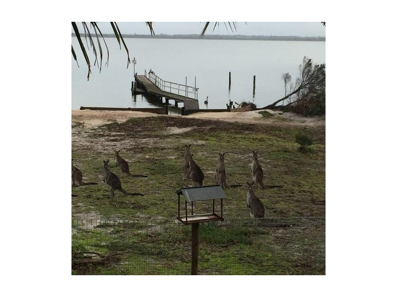 44 The Boulevard, Loch Sport VIC 3851