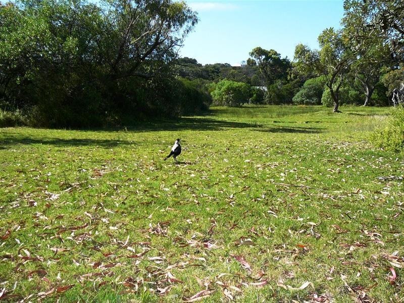 65 Goodlett Avenue, Loch Sport VIC 3851