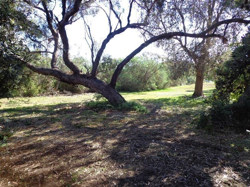 61 Goodlett Avenue, Loch Sport VIC 3851