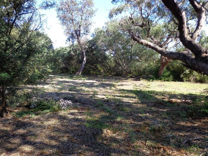 61 Goodlett Avenue, Loch Sport VIC 3851