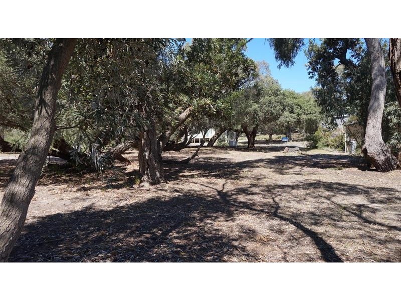 71 Goodlett Avenue, Loch Sport VIC 3851