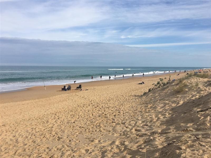 308 National Park Road, Loch Sport VIC 3851