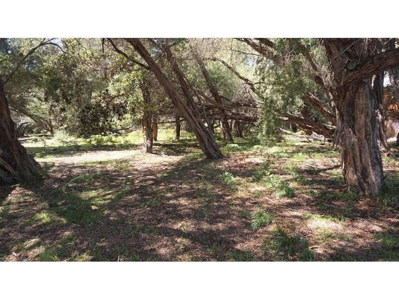 36 Kookaburra Street, Loch Sport VIC 3851