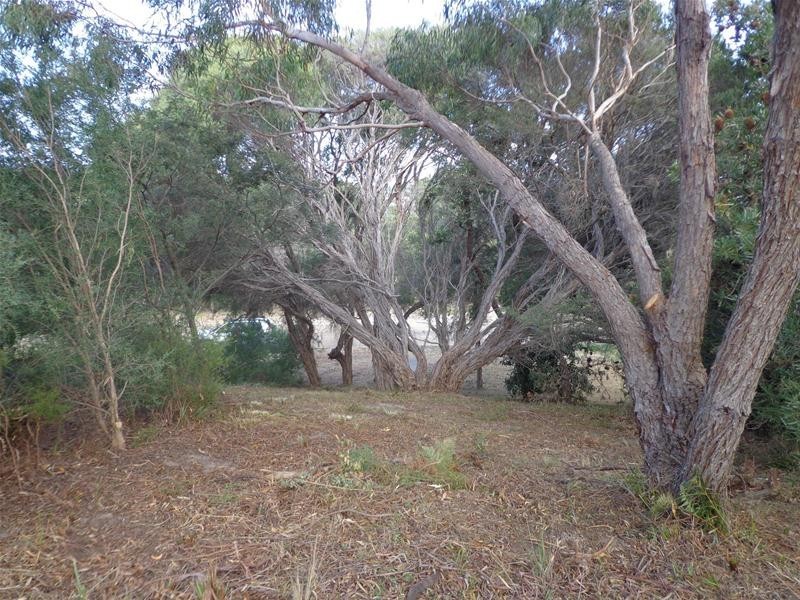 50 Wallaby Street, Loch Sport VIC 3851