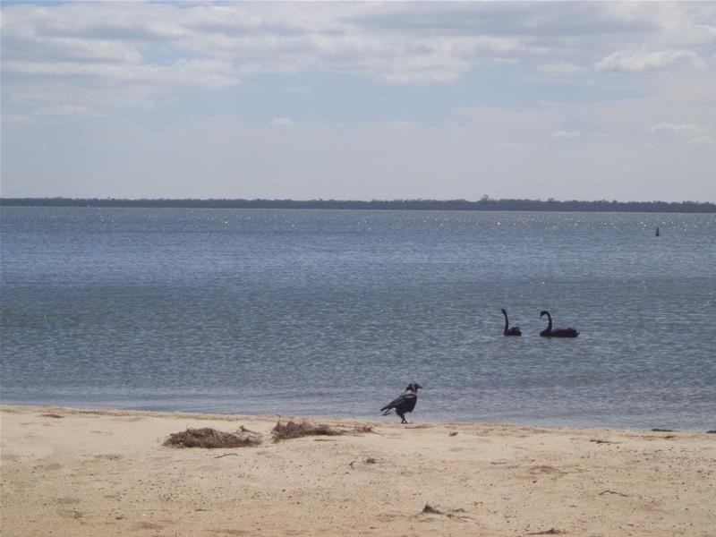 21 The Boulevard, Loch Sport VIC 3851