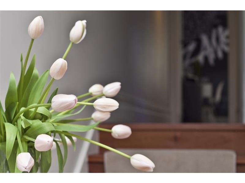 258  Sydney Road, Balgowlah NSW 2093