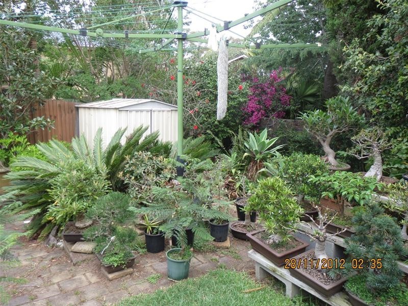 9 Windermere Place, Wheeler Heights NSW 2097