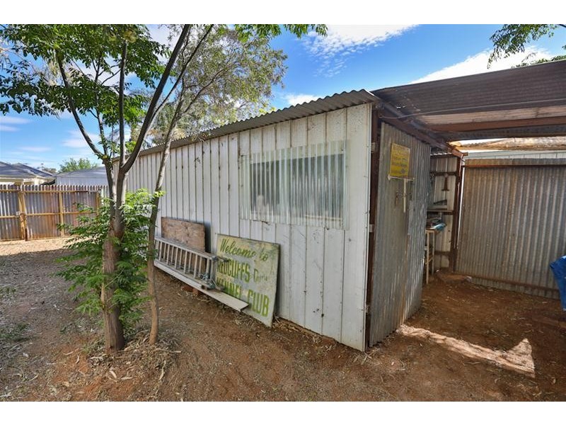 34 Fitzroy Avenue, Red Cliffs VIC 3496