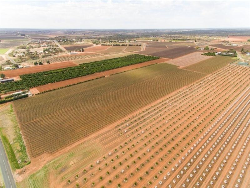 344 Bernarra Road, Dareton NSW 2717