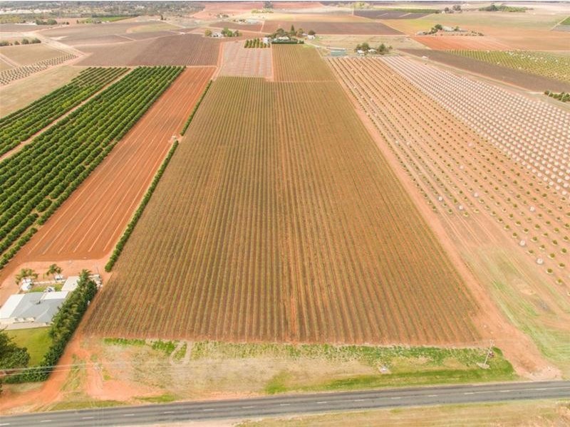 344 Bernarra Road, Dareton NSW 2717