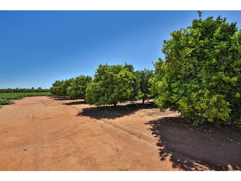 344 Bernarra Road, Dareton NSW 2717