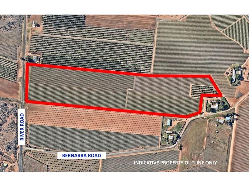 344 Bernarra Road, Dareton NSW 2717