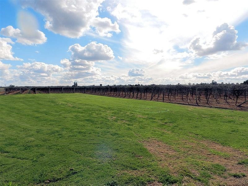 344 Bernarra Road, Dareton NSW 2717