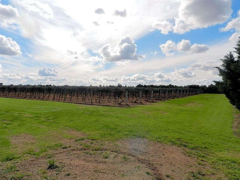 344 Bernarra Road, Dareton NSW 2717