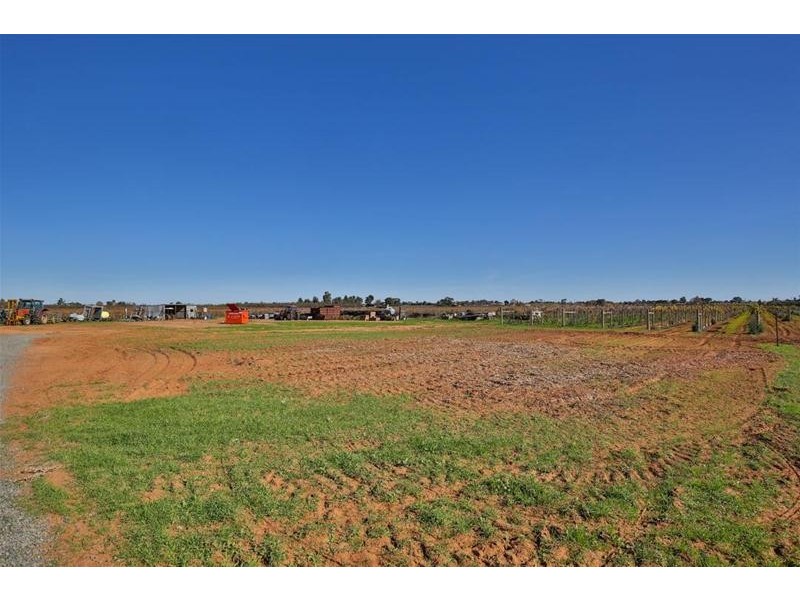 Lot 1/58 Dacelo Avenue, Red Cliffs VIC 3496