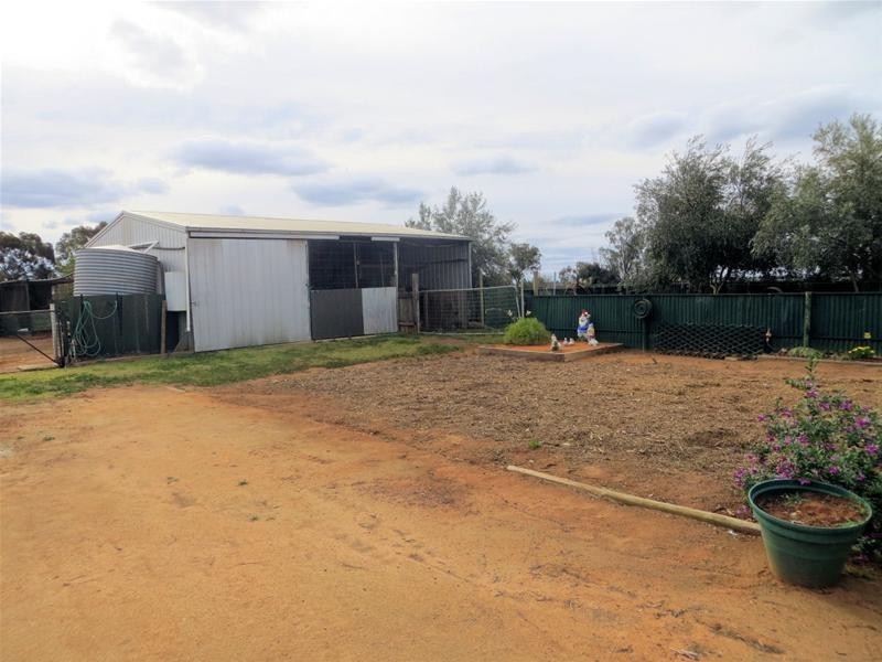 629 River Avenue, Merbein South VIC 3505