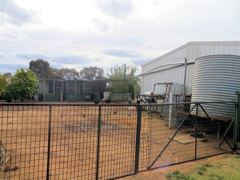 629 River Avenue, Merbein South VIC 3505