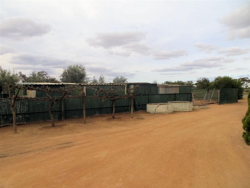 629 River Avenue, Merbein South VIC 3505