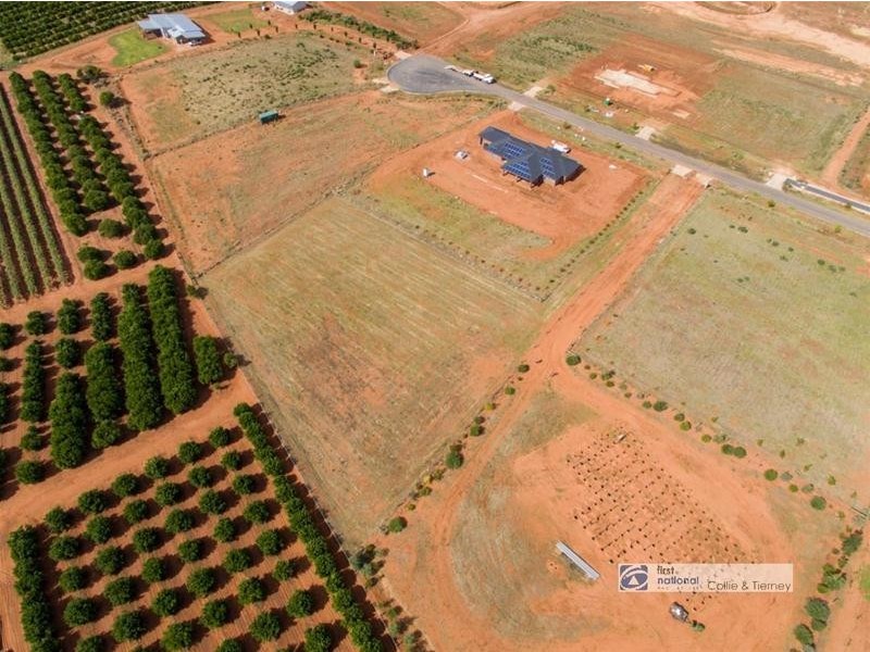 Lot 18 Moontongue Drive, Gol Gol NSW 2738