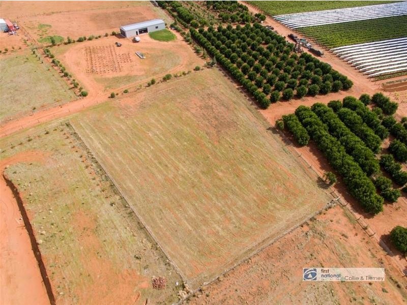 Lot 18 Moontongue Drive, Gol Gol NSW 2738
