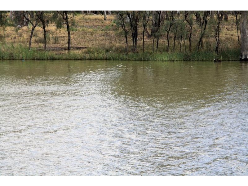 44 River Drive, Buronga NSW 2739