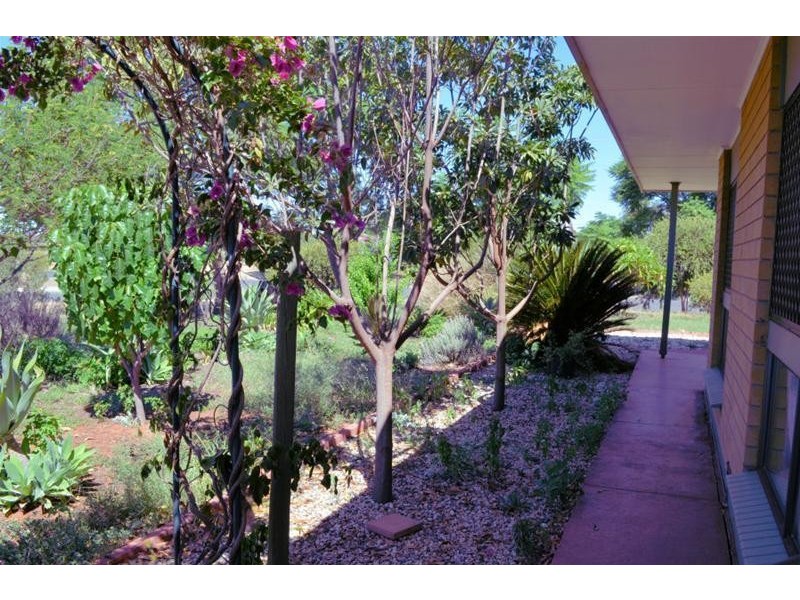 49 Avoca Street, Dareton NSW 2717