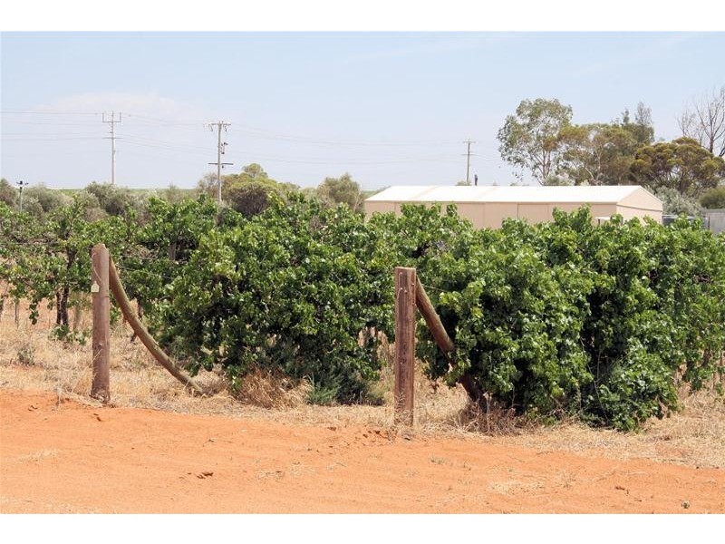 1047 Kulkyne Way, Red Cliffs VIC 3496