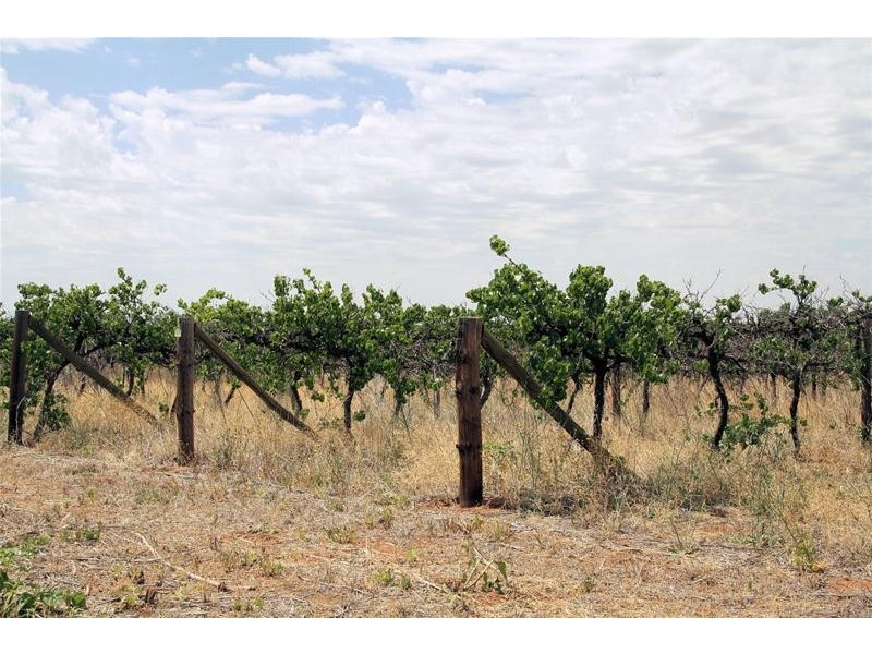 1047 Kulkyne Way, Red Cliffs VIC 3496