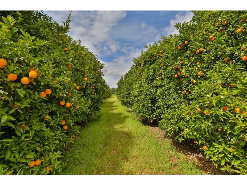 92 & 93 Gordon Avenue, Colignan VIC 3494