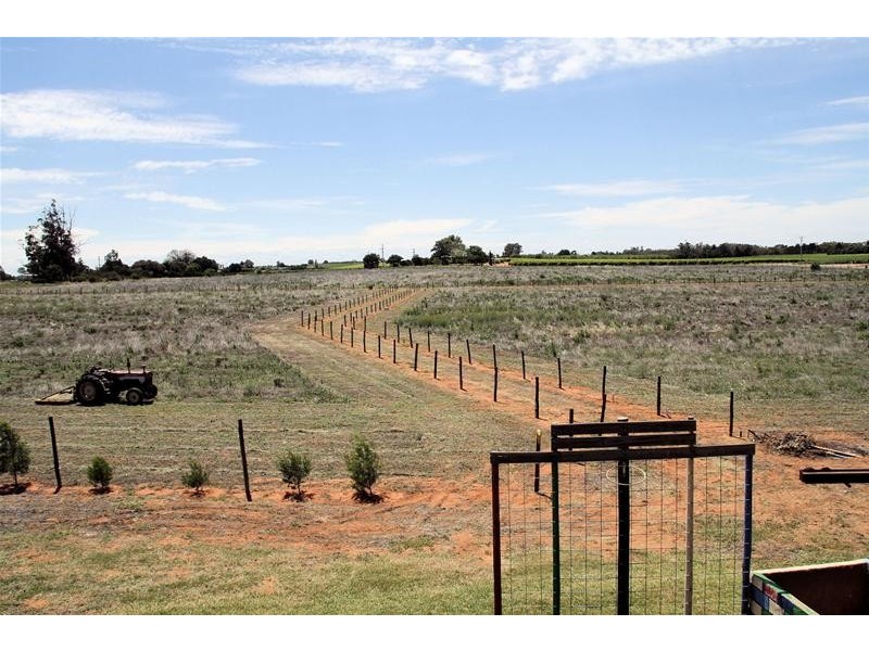 173 Dumosa Street, Red Cliffs VIC 3496