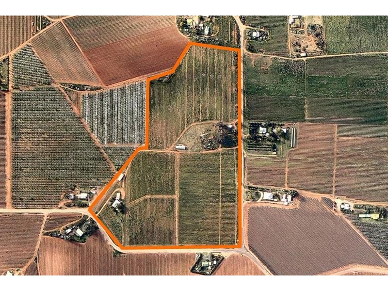 173 Dumosa Street, Red Cliffs VIC 3496