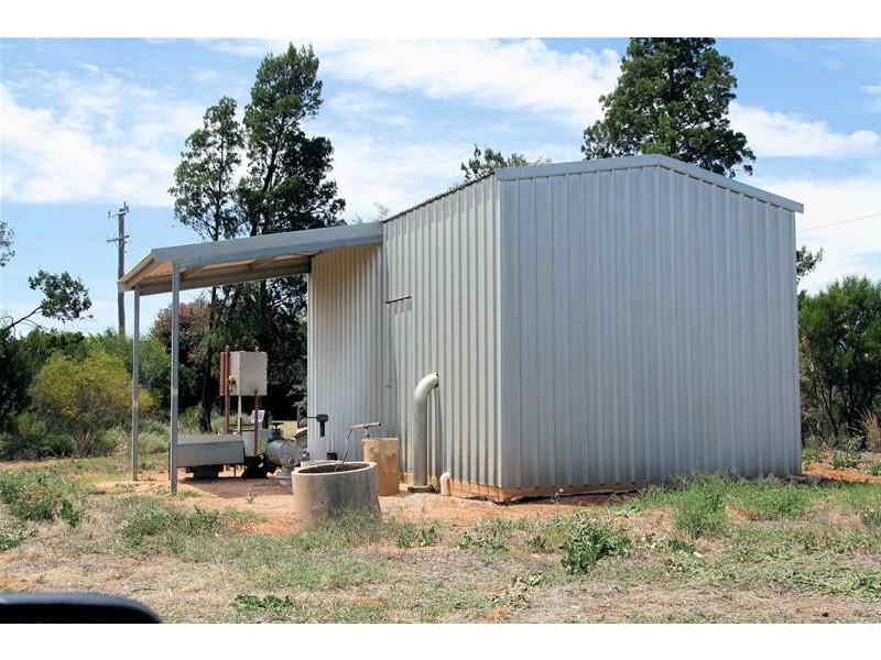 173 Dumosa Street, Red Cliffs VIC 3496