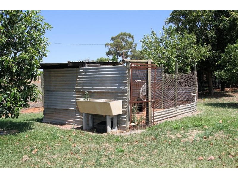 173 Dumosa Street, Red Cliffs VIC 3496